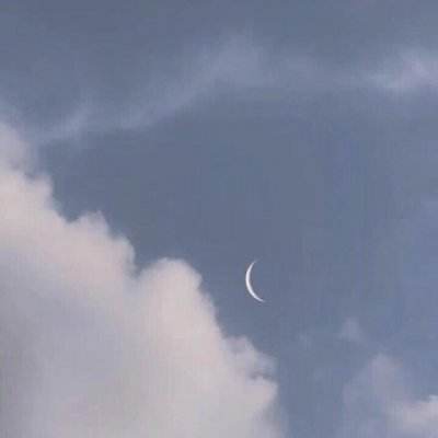仙侠吾爱完整版下载